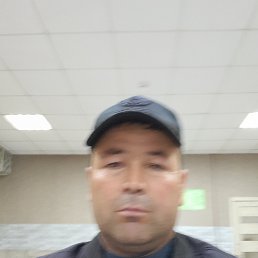 , 46, 