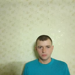 , 29, 