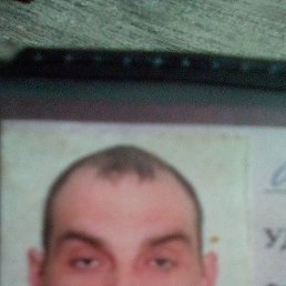 ���������, 39 ���, �����