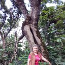 ���� �����, ���������, 71 ��� - ��������� 29 ���� 2025