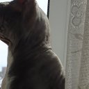 ���� ������, �������, 78 ��� - ��������� 30 ����� 2025