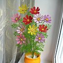 ���� Alena, �������, 56 ��� - ��������� 3 ����� 2025 � ������ ���� ��������� ����