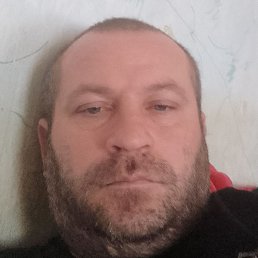 �������, ���������, 39 ���