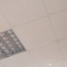 ������, ���������, 21 ���