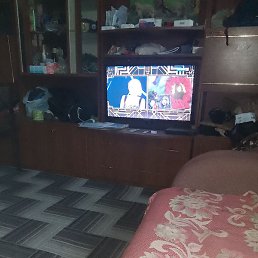 �����, ������, 39 ���