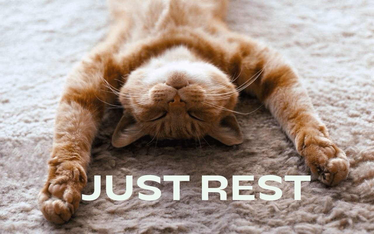 ,    IT,     ,  REST API.   , ...