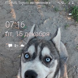 ���� �������, �����, 42 ���� - ��������� 27 ������� 2023