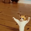 ���� ������, ����, 58 ��� - ��������� 27 ������� 2023 � ������ ���� ����������