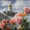 ���� Alex/, ��������� - ��������� 28 ���� 2024 � ������ ������� ��������