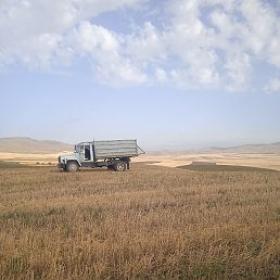 ���� ������, ������, 49 ��� - ��������� 14 ����� 2024