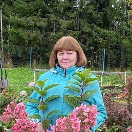 ���, �����-���������, 68 ���