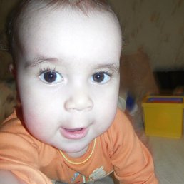 �������, �����, 51 ���