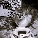 ���� Uegenia, ʸ���, 65 ��� - ��������� 6 ������� 2025 � ������ ������ ��������