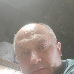 ������, 43 ����, ������
