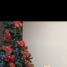 ���� ��������, ������, 38 ��� - ��������� 6 ������ 2026