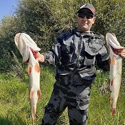 ����, 45 ���, ����������