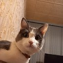���� ��������, ������, 61 ��� - ��������� 27 ������ 2025 � ������ ������ ��������