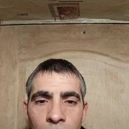  , 41, 