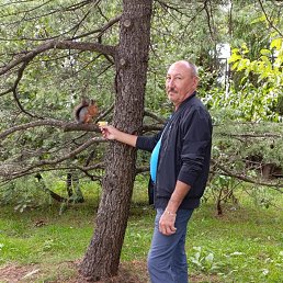 ���� ����, �������, 60 ��� - ��������� 7 ������� 2026