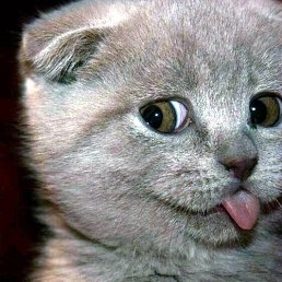 ���� �������, ������, 30 ��� - ��������� 7 ������� 2025