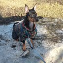 ���� ���, ��������, 58 ��� - ��������� 17 ������ 2025 � ������ ������ ��������