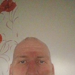 , 42, 