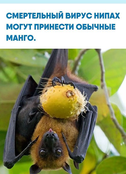 ���e�� ����� pacc�a���a��, ��o �a���� �o� � c�pa�e ���c�p��� c���a� �apa�e��� �oc�e ��o�pe��e��� ...