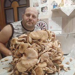 ���� ����������, ���������, 46 ��� - ��������� 18 ������ 2023