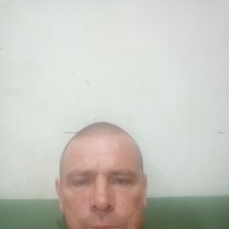 �����, 37 ���, ���������