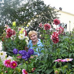 �����, �����-���������, 63 ����