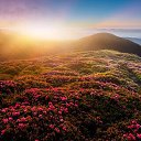 ���� �������, ������, 43 ���� - ��������� 11 ������� 2025 � ������ ���� ����������