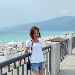 �����, 41 ���, ���������