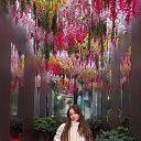 ���� �������, �����������, 22 ���� - ��������� 3 ������� 2024 � ������ ���� ����������