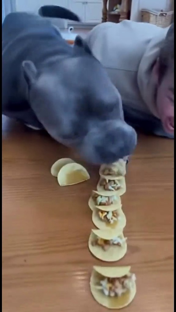 �� ��� ���������� �� ���� ������!)