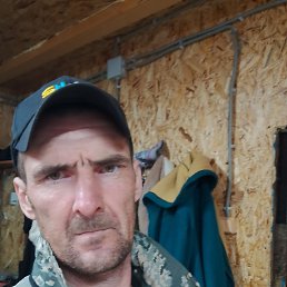 , 43, 