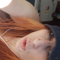 ���� �����, ������, 32 ���� - ��������� 2 ������ 2026