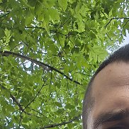 ����������, 36 ���, ������