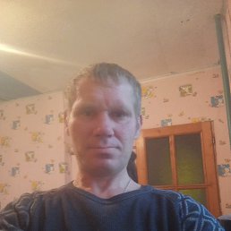 �������, 41 ���, ���������