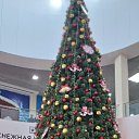 ���� ���������, �������, 59 ��� - ��������� 26 ������� 2025 � ������ ���� ����������