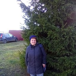 �����, ��������, 54 ����