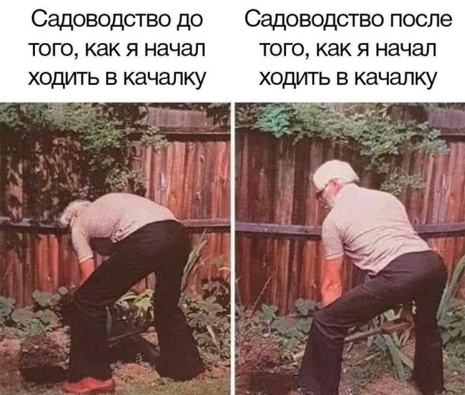 ���� �����-�� ������ �� ����� ������ ������