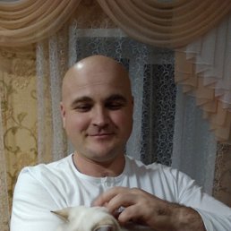 , 38, 
