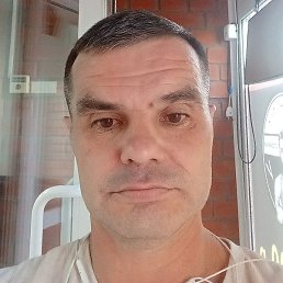 ������, ������, 46 ���