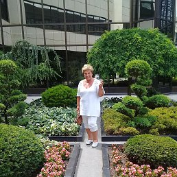 �����, ����������-���������