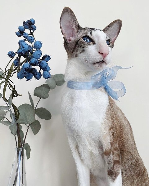 ��������� ������� - 3