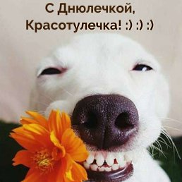 ���� ��av, �������, 43 ���� - ��������� 16 ������� 2024