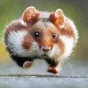 ���� ���������, ������, 57 ��� - ��������� 10 ���� 2025 � ������ ���� ����������