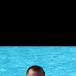 Fox, ������, 43 ����