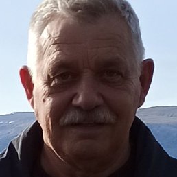 �������, ������, 71 ���