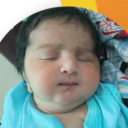 Suma, �������, 28 ���